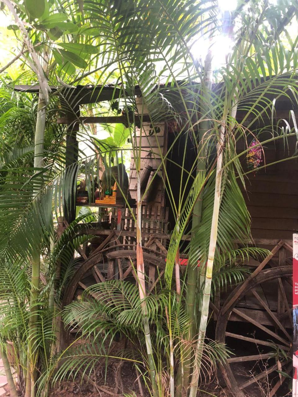 Sok Phen Homestay Siem Reap Exterior foto
