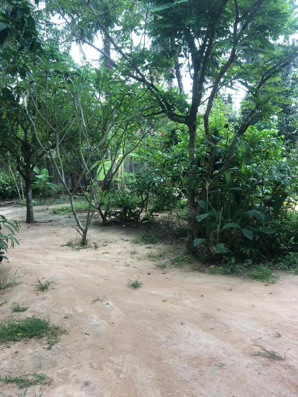 Sok Phen Homestay Siem Reap Exterior foto