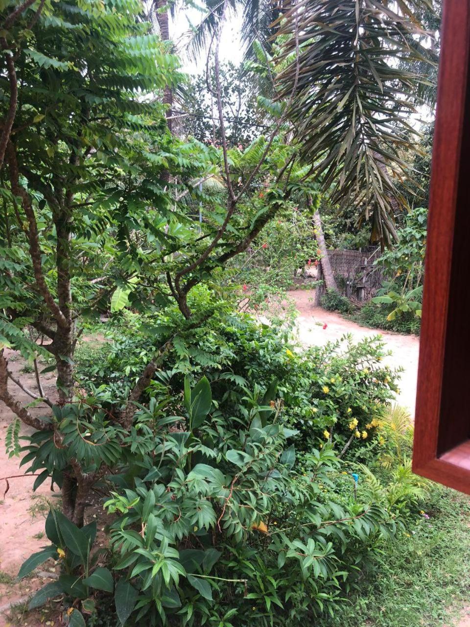 Sok Phen Homestay Siem Reap Exterior foto