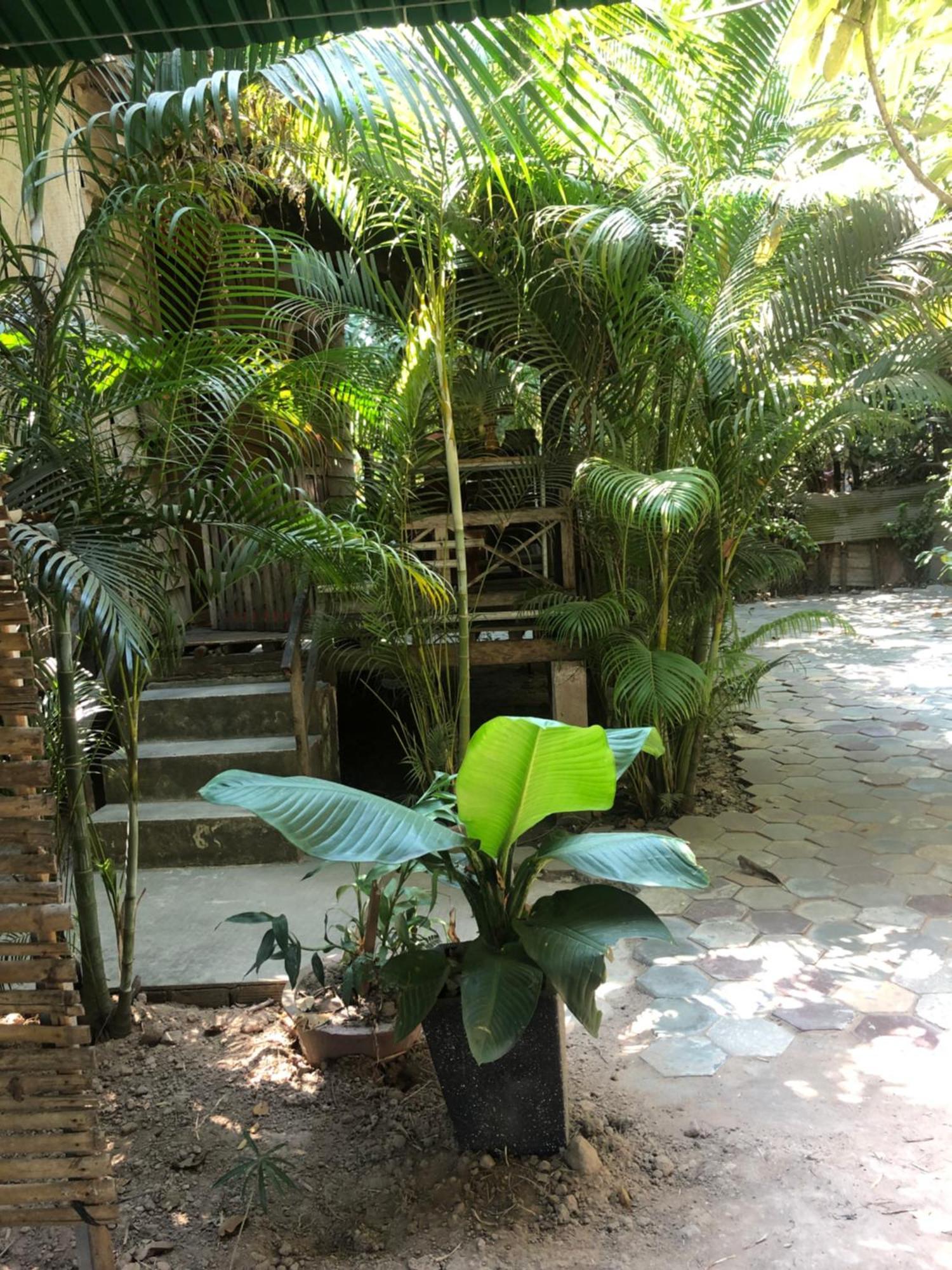 Sok Phen Homestay Siem Reap Exterior foto
